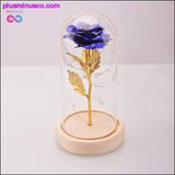 Plus Minus Co Beauty and the Beast Red Rose in a Glass Dome with LED Light, view 3