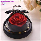 Plus Minus Co Beauty and the Beast Red Rose in a Glass Dome with LED Light, view 4