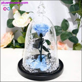 Plus Minus Co Beauty and the Beast Red Rose in a Glass Dome with LED Light, view 5