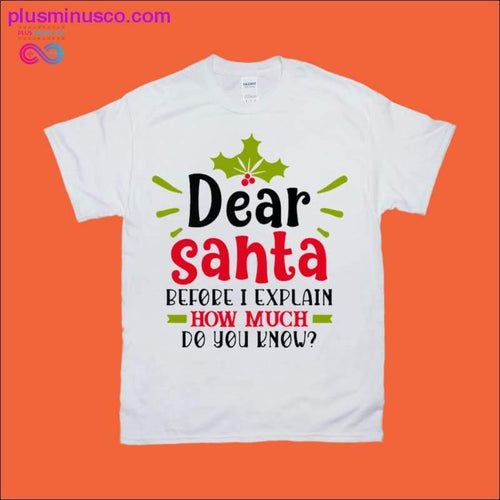 Plus Minus Co Dear Santa, Before I Explain, How Much Do You Know T-Shirts