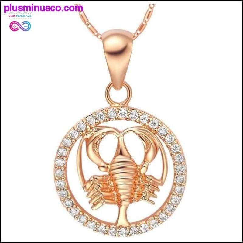 Plus Minus Co Fashionable 18k Gold Plated Rare 12 Zodiac Signs Necklace
