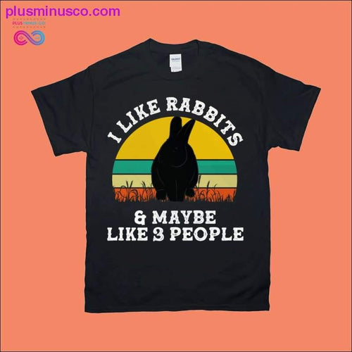 Plus Minus Co I Like Rabbits & Maybe Like 3 People | Retro Sunset T-Shirts