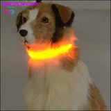 Plus Minus Co LED Flashing Light Band Adjustable Dog Collar, view 2