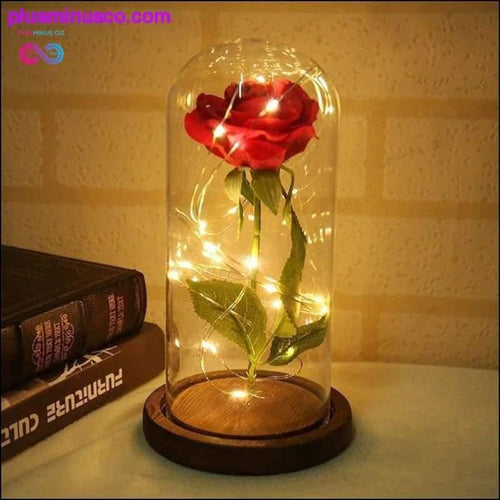 Plus Minus Co LED Rose Glass Jar Bottle Table Lamp - Valentine's Day &