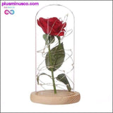 Plus Minus Co LED Rose Glass Jar Bottle Table Lamp - Valentine's Day &, view 2