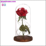 Plus Minus Co LED Rose Glass Jar Bottle Table Lamp - Valentine's Day &, view 3