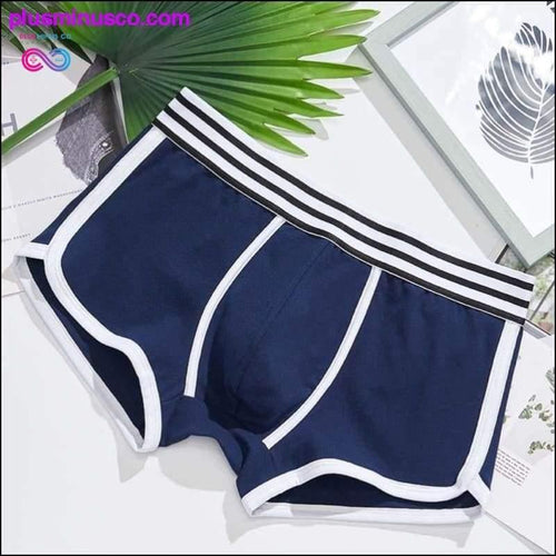 Plus Minus Co Men Underwear boxer cotton Cuecas Boxers Mens boxer shorts