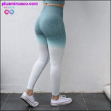 Plus Minus Co Nepoagym Women Ombre Seamless Leggings In TEAL High Waisted, view 5