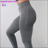 Plus Minus Co Nepoagym Women Ombre Seamless Leggings In TEAL High Waisted, view 6