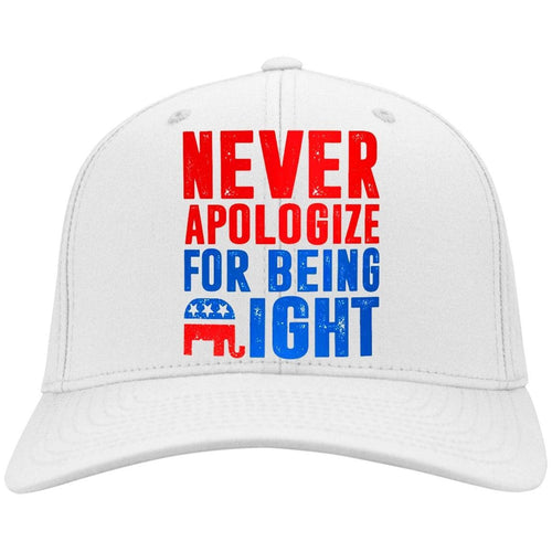 Plus Minus Co Never Apologize for being right Twill Cap