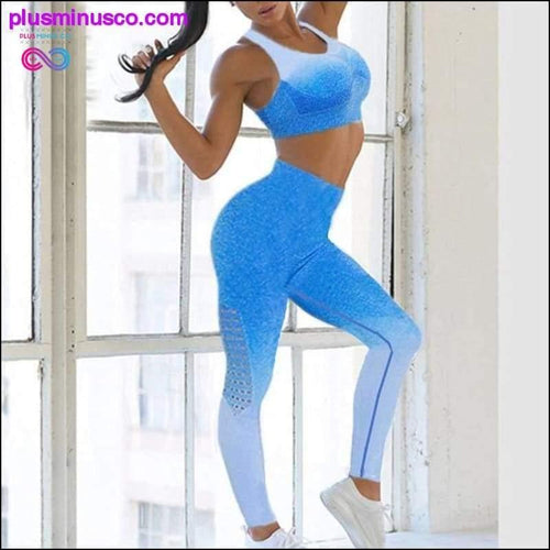 Plus Minus Co Ombre Seamless Gym Fitness Suit Bra Leggings High Waist Yoga