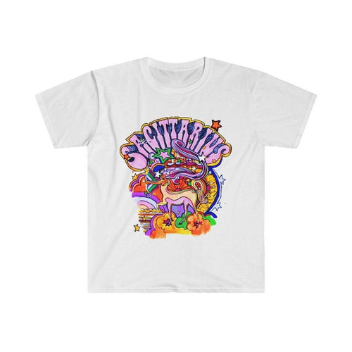 Plus Minus Co Sagittarius Zodiac Sign Graphic T-Shirts || December Birthday Gift Ideas || Sagittarius Women, Sagittarius Zodiac gift idea, Horoscope shirt