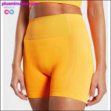 Plus Minus Co Seamless Yoga Set Women Two 2 Piece Blue Orange Crop top, view 3