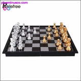 Plus Minus Co SIlver & Gold Magnetic Chess Set, view 3