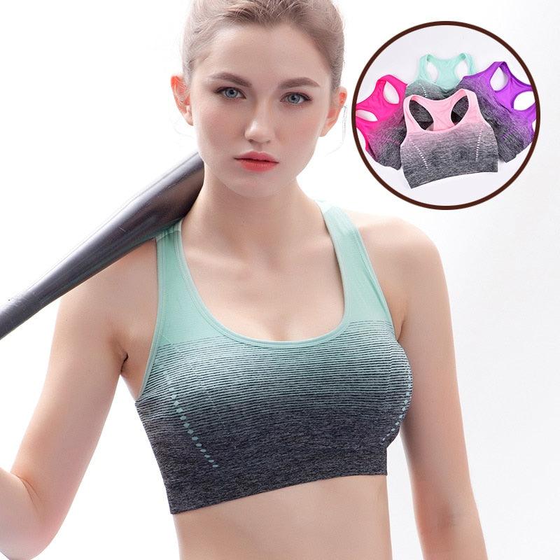 Plus Minus Co Sports Bra High Stretch Breathable Top Fitness Women Padded for Running Yoga Gym Seamless Crop Bra Gradient Sport Bra