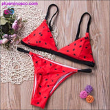 Plus Minus Co Summer Bikini Set Women 2019 Summer Multicolors Push Up, view 2