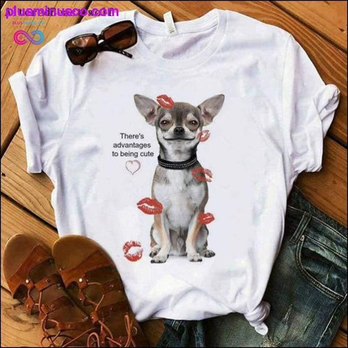 Plus Minus Co There's Advantages to Being Cute T Shirt Women Chihuahua