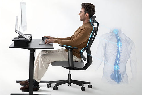 ProtoArc Complete Ergonomic Workspace Bundle