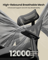 ProtoArc EC100 Ergonomic Office Chair, view 5