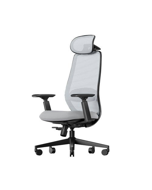 ProtoArc EC200 Ergonomic Office Chair