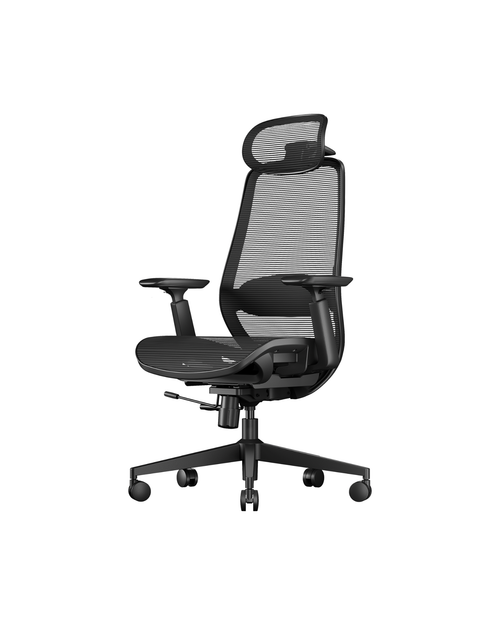 ProtoArc EC200 Pro Ergonomic Office Chair