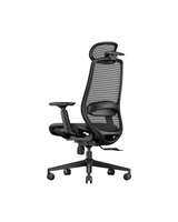 ProtoArc EC200 Pro Ergonomic Office Chair, view 2