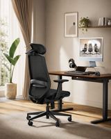ProtoArc EC200 Pro Ergonomic Office Chair, view 3