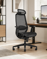 ProtoArc EC200 Pro Ergonomic Office Chair, view 4
