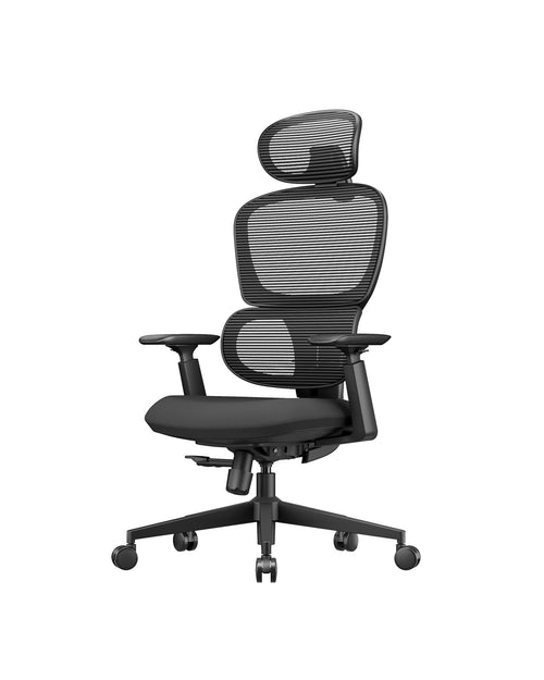 ProtoArc EC300 Ergonomic Office Chair
