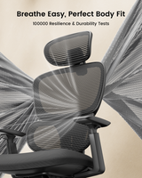 ProtoArc EC300 Ergonomic Office Chair, view 4