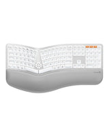 ProtoArc EK01 Plus Backlit Ergonomic Keyboard, view 2