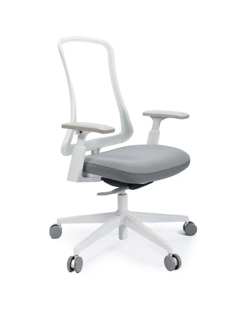 ProtoArc Flexer Office Chair