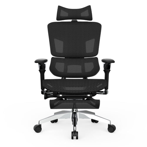 Rasical Chair Elite【即納】