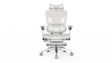 Rasical Chair Elite【即納】, view 5