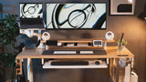Rasical Monitor Arm, view 2