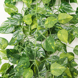 Roomtery Artificial Vines 12 Pack, view 6