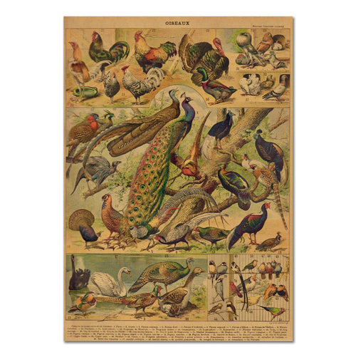 Roomtery Birds Vintage Kraft Paper Poster