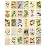Roomtery Cottagecore Butterflies Wall Collage Postcards, view 5