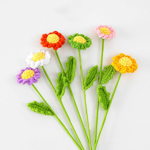 Roomtery Crochet Daisy Flowers