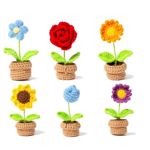Roomtery Crochet Potted Mini Flowers