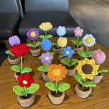 Roomtery Crochet Potted Mini Flowers, view 2