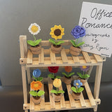 Roomtery Crochet Potted Mini Flowers, view 3