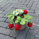 Roomtery Crochet Potted Strawberry Bush, view 4
