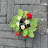 Roomtery Crochet Potted Strawberry Bush, view 5