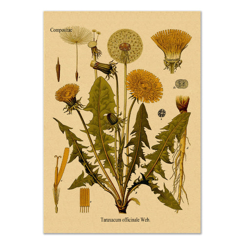 Roomtery Dandelion Kraft Paper Poster