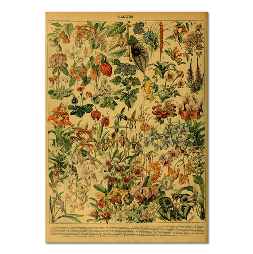 Roomtery Flowers Vintage Kraft Paper Poster