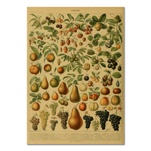 Roomtery Fruits Vintage Kraft Paper Poster