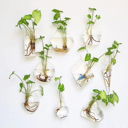 Roomtery Glass Wall Hanging Flower Vase