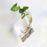 Roomtery Glass Wall Hanging Flower Vase, view 4