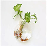 Roomtery Glass Wall Hanging Flower Vase, view 5